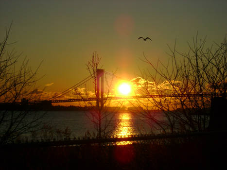 Sunrise in Staten Island