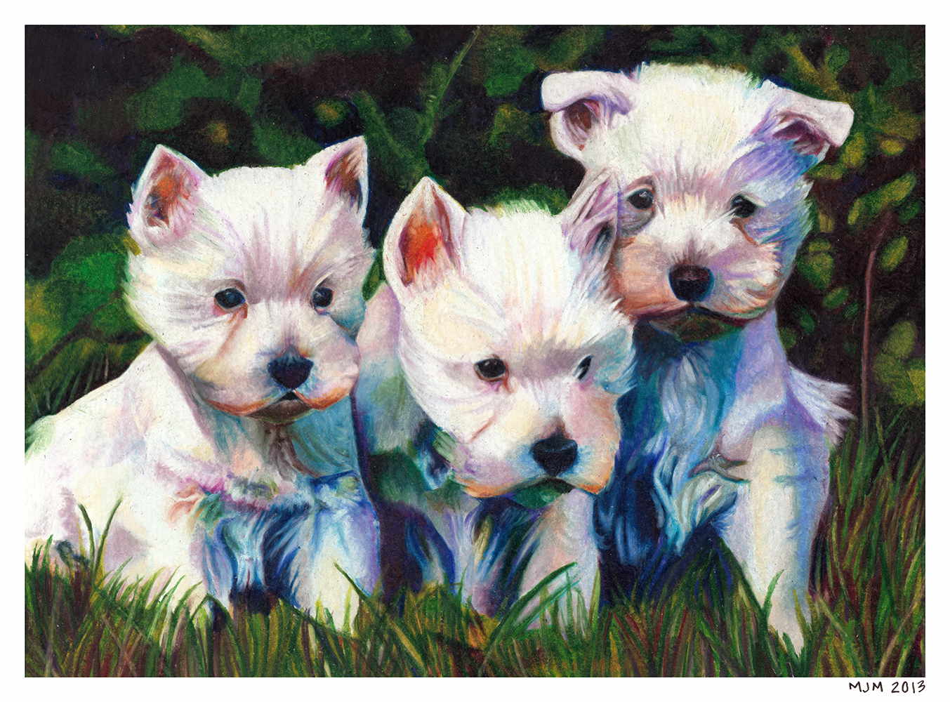 Westie Puppies