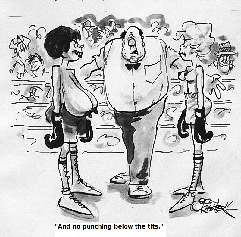 Episode of a women's boxing match. Cartoon by levv2 on DeviantArt