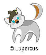 Little cute Lupercus