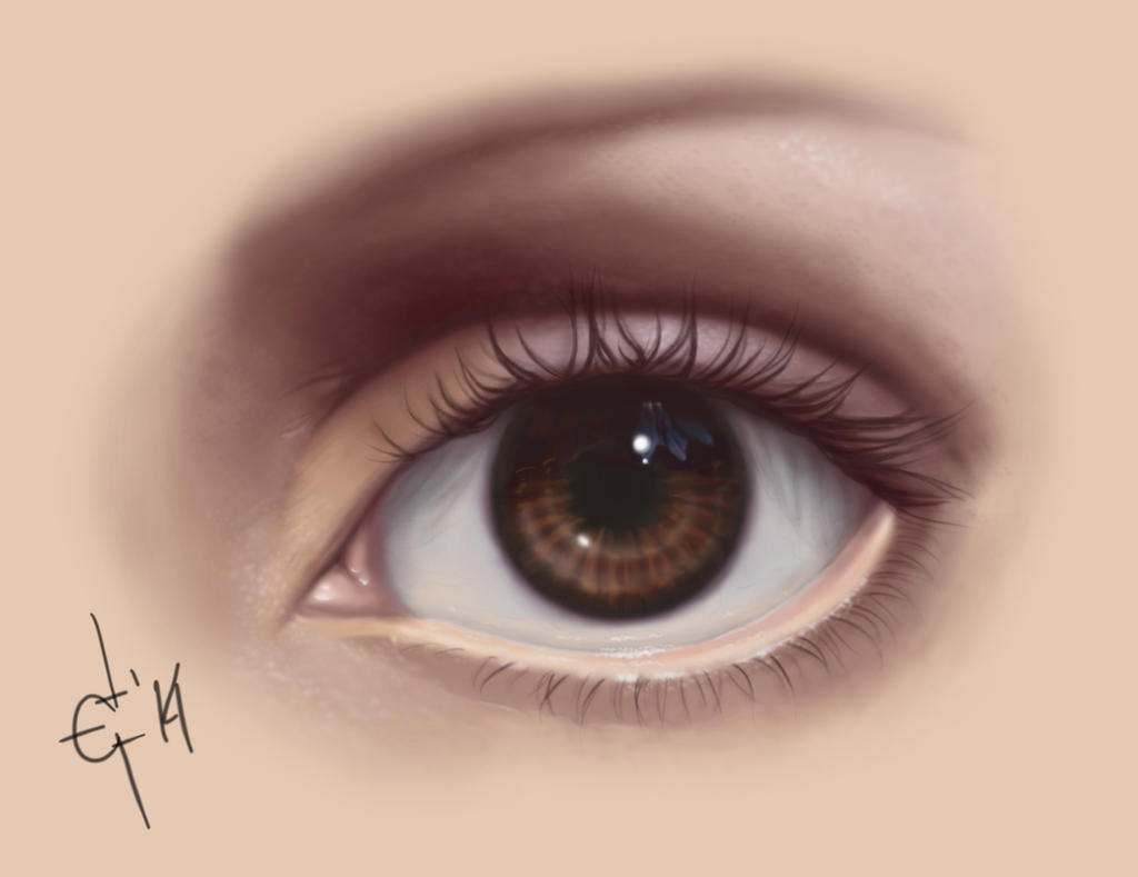 Eye Study