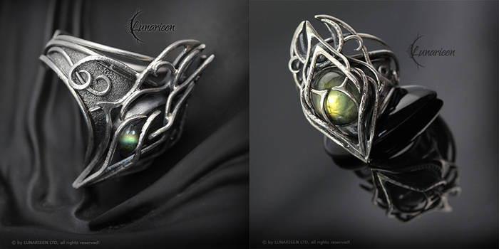 Explore the Best Ring Art | DeviantArt