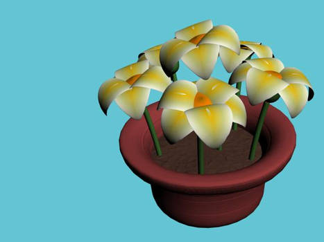 Flower Pot