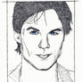 Somerhalder Pointillism