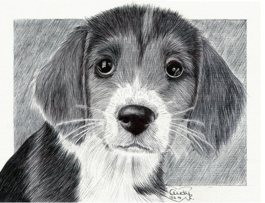 Ballpen Puppy