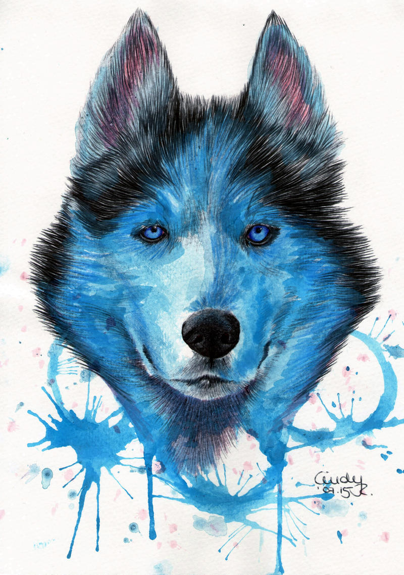 Blue Wolf