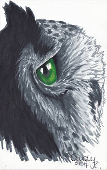 Green Eye Owl