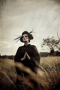 Geisha in a field
