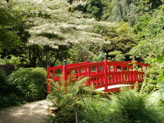 Japanese path 1