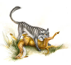 Marsupial panther by hontor