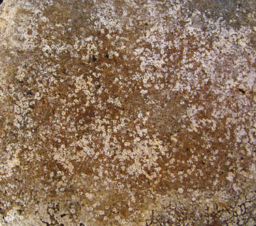 Texture free use2