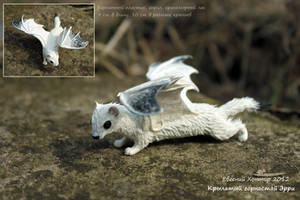 Winged ermine Erry