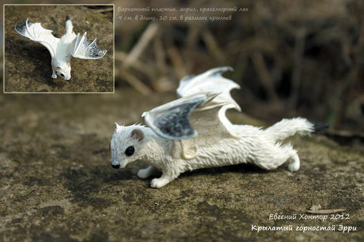 Winged ermine Erry