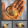 Siamese snail II - for sale