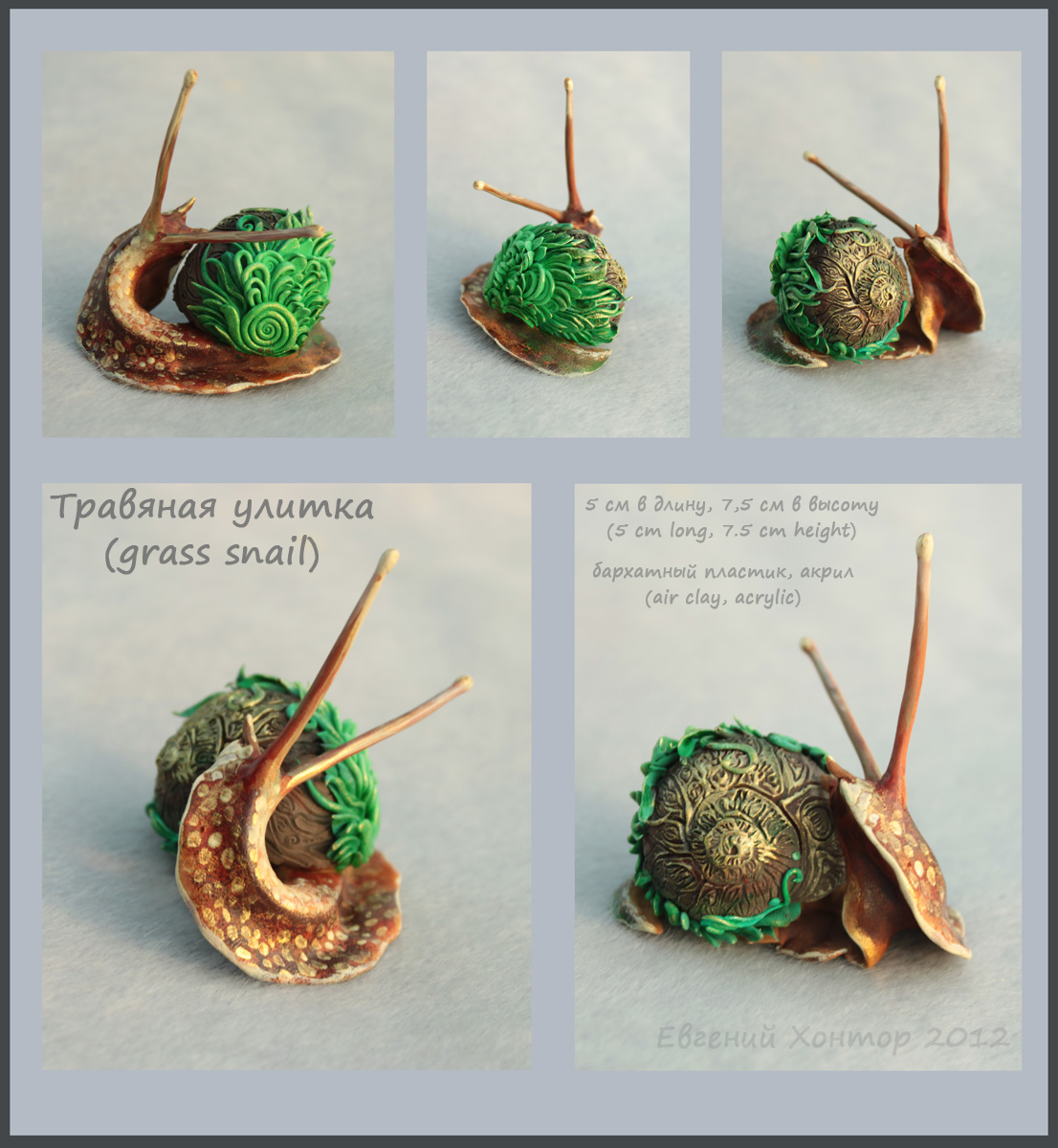 Grass snail - for sale