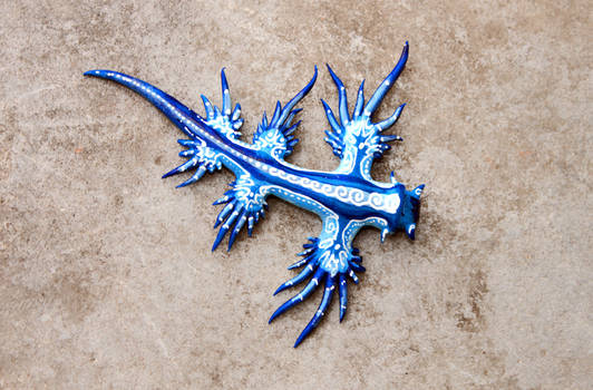 Glaucus Atlanticus