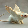 Albino rat angel