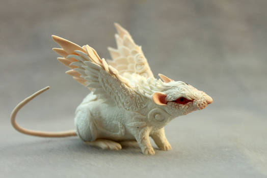 Albino rat angel