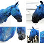 Blue Horse Year II