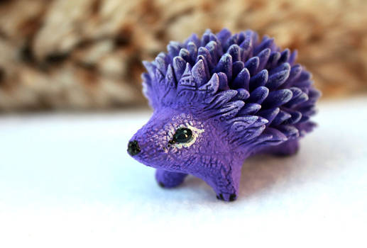 Purple hedgehog