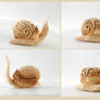 Snail