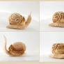 Snail