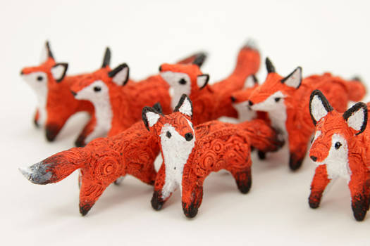 Foxes!
