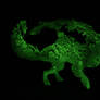 Glow in the dark creature