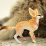 Fennec foxy