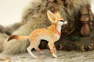 Fennec foxy