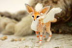 Winged fennec foxy