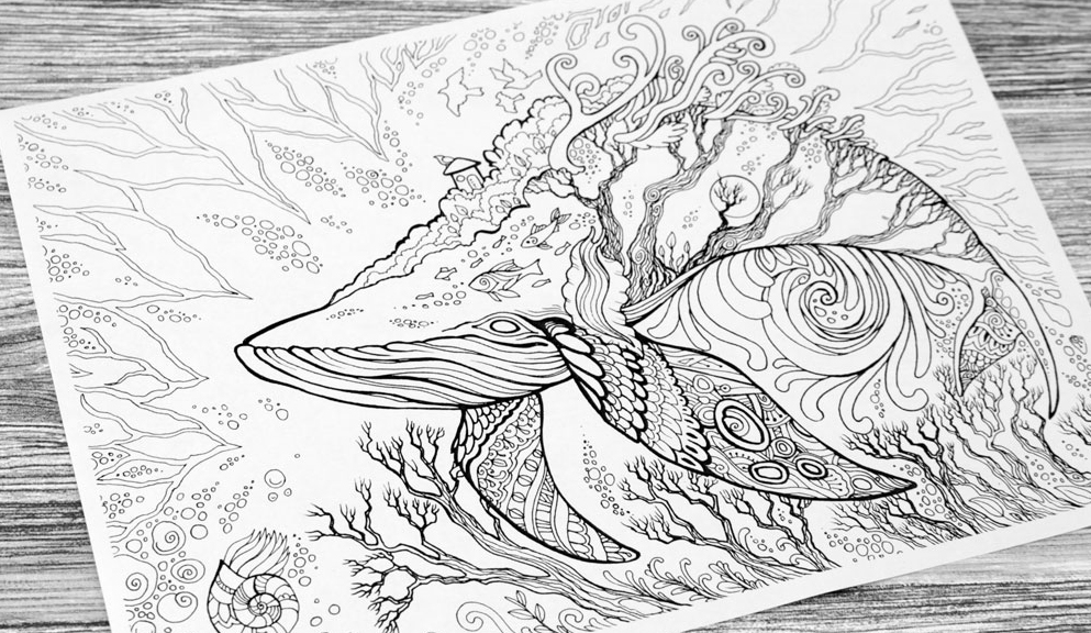 Great Whale colouring page