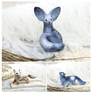 Little creatures June 19