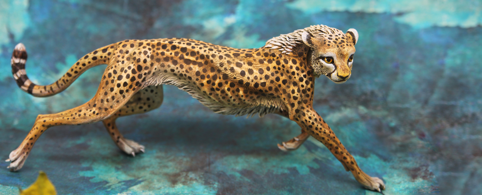 Cheetah