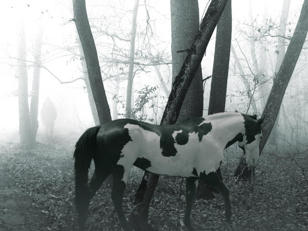 Through the Mist by Queen---of---Spades