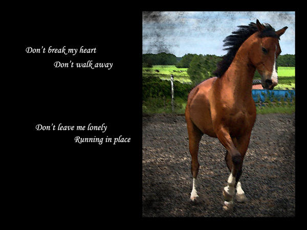 Don't Break My Heart ..WP.. by Queen---of---Spades