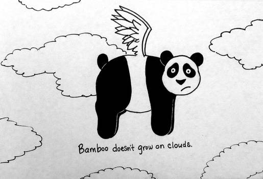 Why Was The Flying Panda Sad?