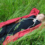 Sleeping in the grass