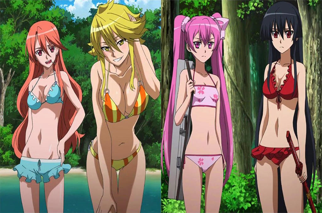 Akame ga Kill!: Girls