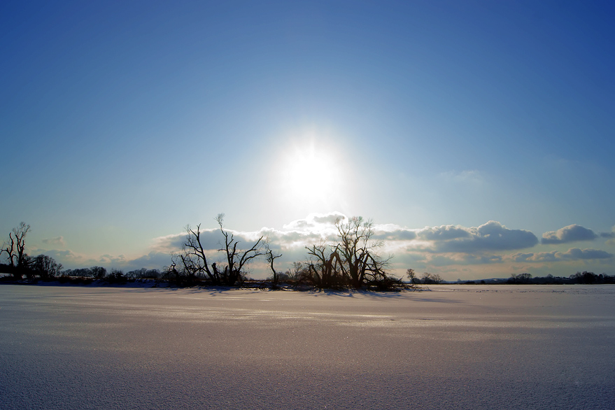 Wintersonne