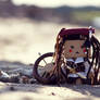 36-52 CTL2013 - Cpt. Lilly Sparrow