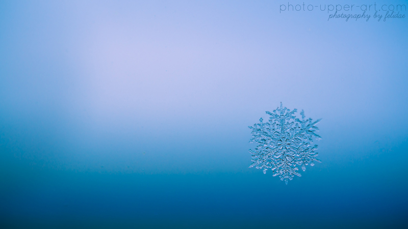 The magic of snow flakes - Part I