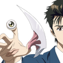 Kiseijuu:Shinichi and Migi vector