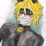 Chat Noir