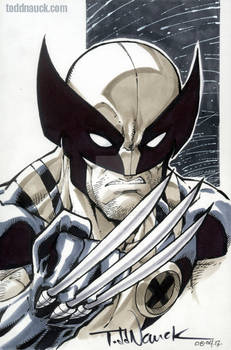 Wolverine Aug 2013