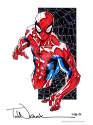 Spider-Man Typhoon Haiyan relief auction