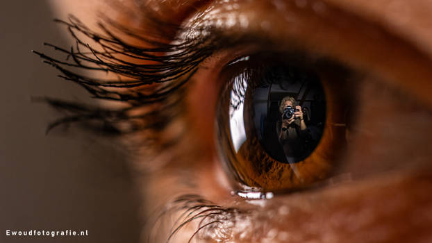 Through the eye of the subject
