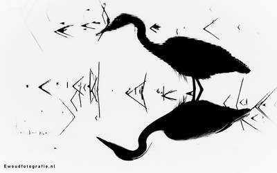 Heron silhoutte