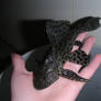 pleco