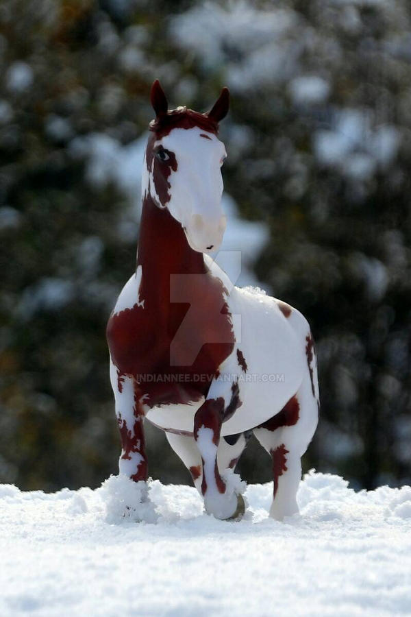 Dear Rabbit by Indiannee on DeviantArt